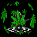 WEED